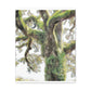 Mossy Oak Wonder. - Canvas
