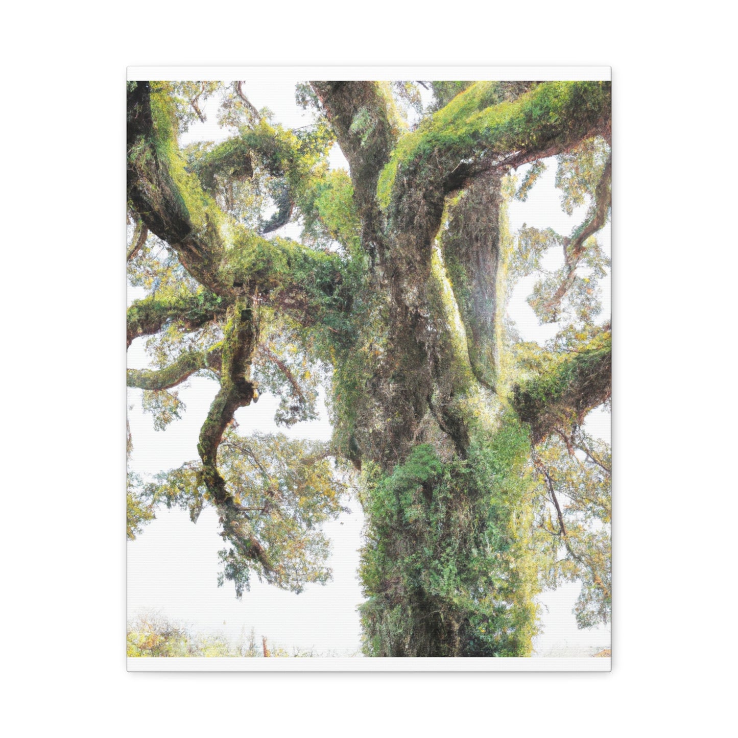 Mossy Oak Wonder. - Canvas