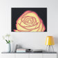 Abstract Rose Bloom. - Canvas