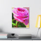 Rose Reflection Dream. - Canvas
