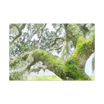 Mossy Oak Dreaming - Canvas