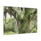 Mystic Moss Tree. - Canvas