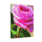 Rose Reflection Dream. - Canvas