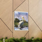 Marshy Pelican Dream - Canvas