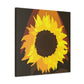 Divine Sun Petal. - Canvas