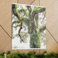 Mossy Oak Wonder. - Canvas
