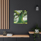 Magnificent Oak Mélange - Canvas