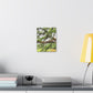 Faded Grandeur Oak. - Canvas