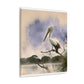 "Aquatic Pelican Dream" - Canvas