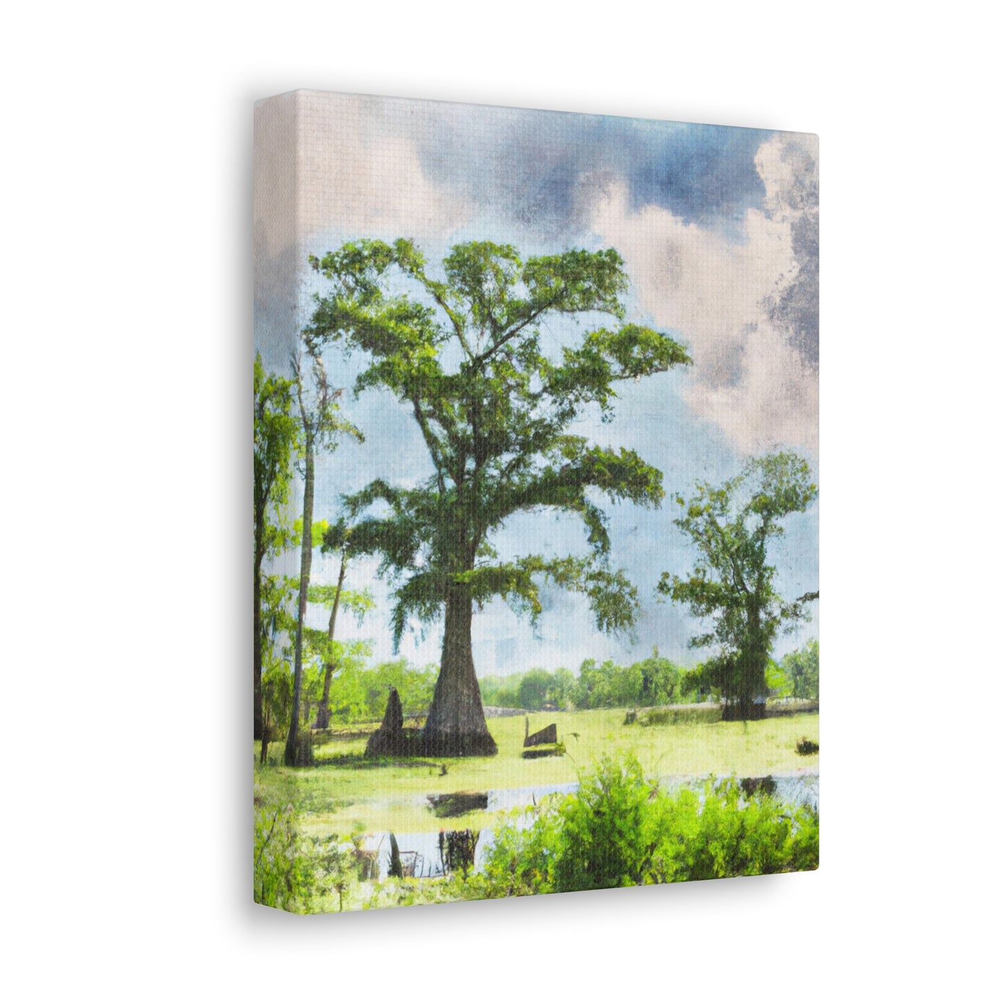 Lagniappe Louisiana Landscape - Canvas