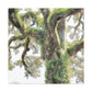 Mossy Oak Wonder. - Canvas