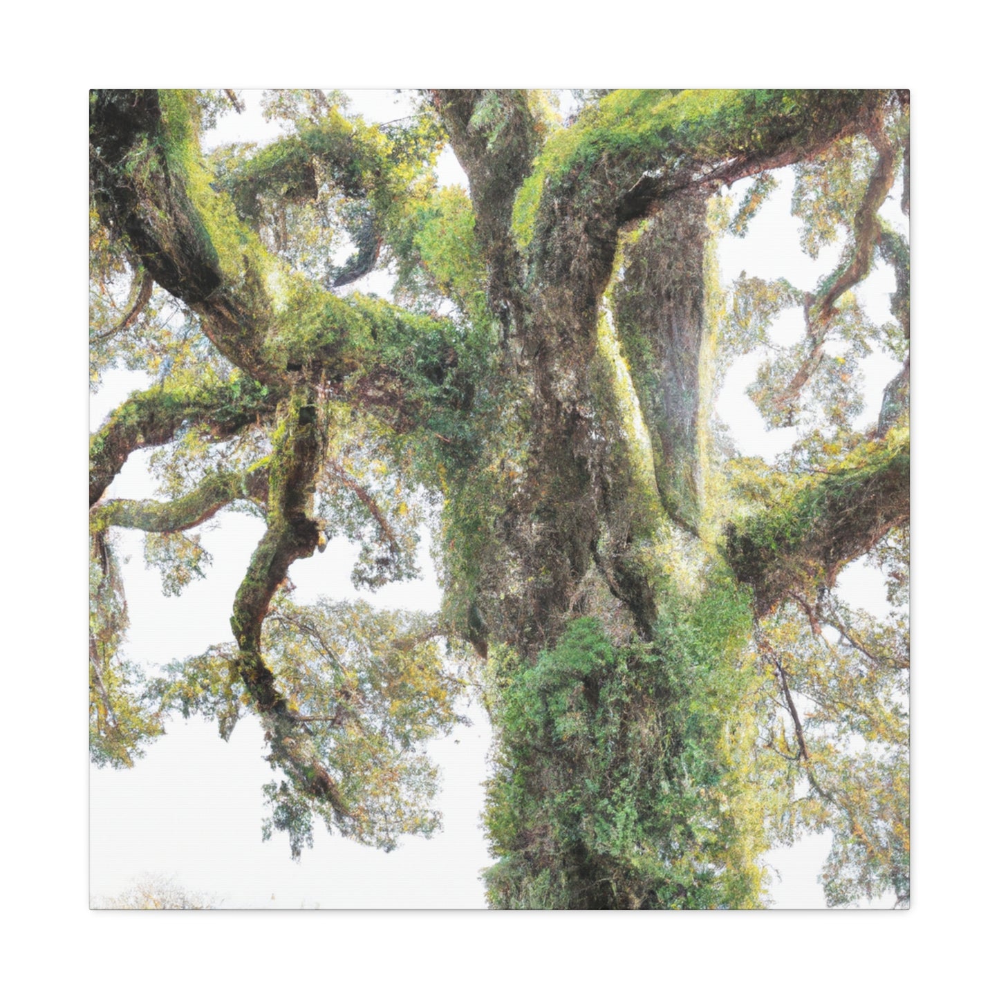 Mossy Oak Wonder. - Canvas