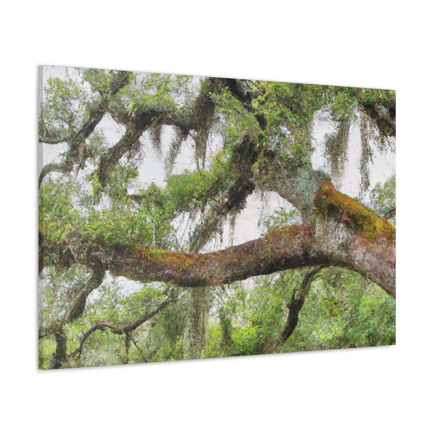 Faded Grandeur Oak. - Canvas