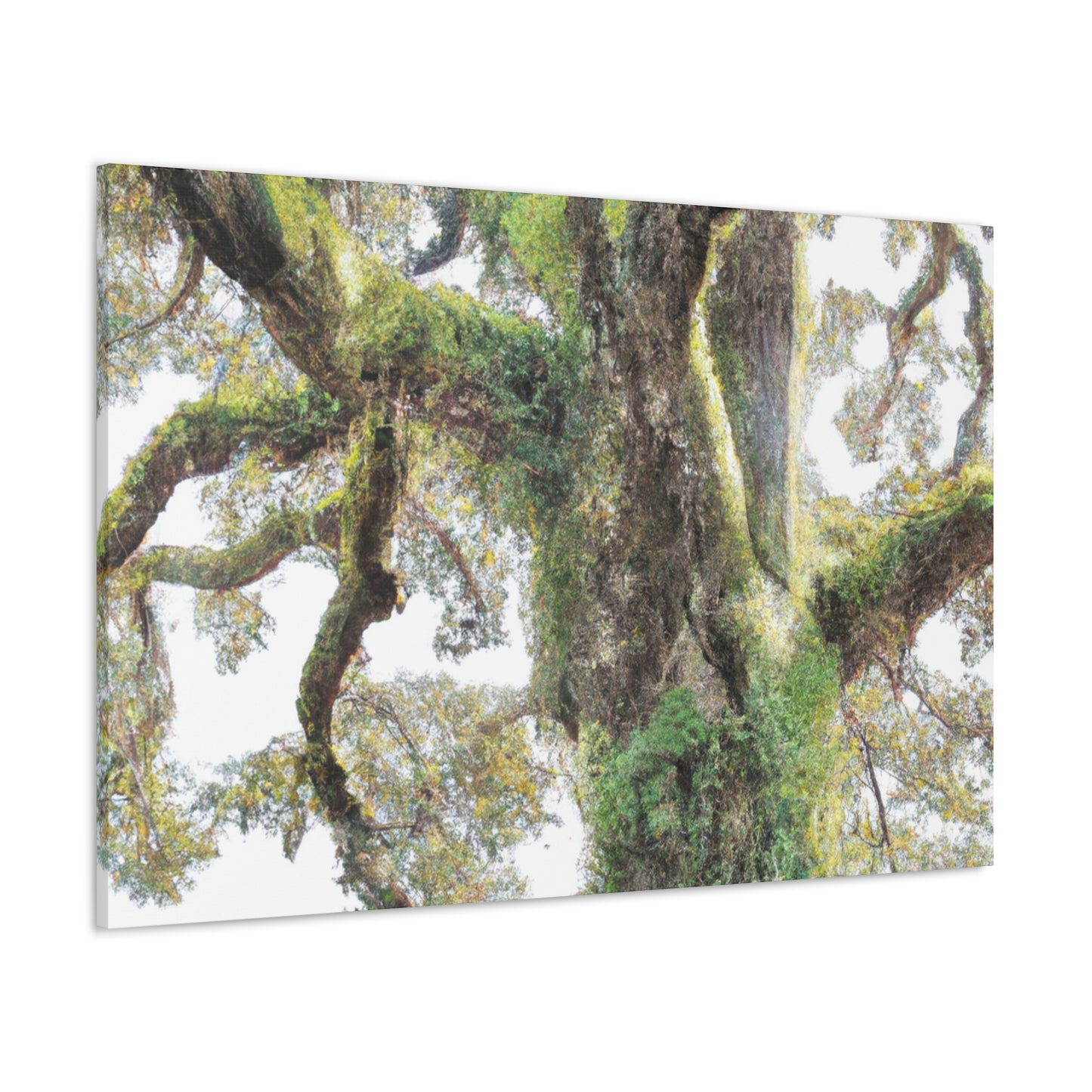 Mossy Oak Wonder. - Canvas