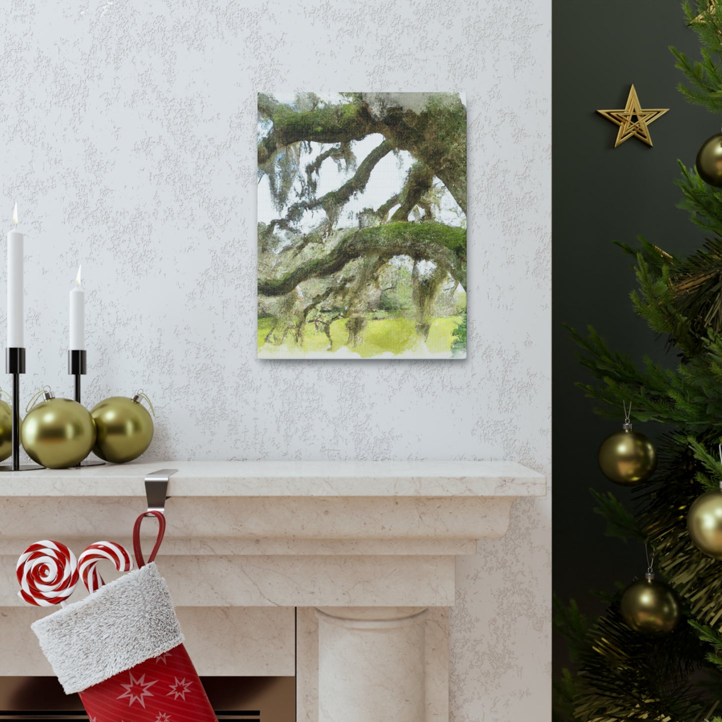 Live Oak Dreaming. - Canvas