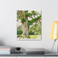 Rural Splendor Moss - Canvas