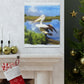 Mystic Marsh Pelican - Canvas