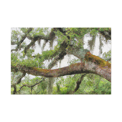 Faded Grandeur Oak. - Canvas
