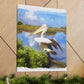 Mystic Marsh Pelican - Canvas