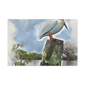 Aquatic Pelican Sunset - Canvas