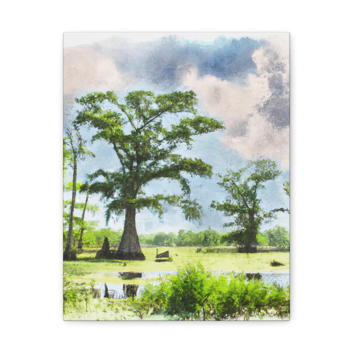 Lagniappe Louisiana Landscape - Canvas