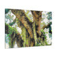 Vivid Woodland Scene - Canvas
