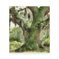 Mystic Moss Tree. - Canvas