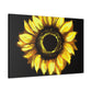Sunflower Sparkle Glow. - Canvas