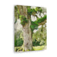 Rural Splendor Moss - Canvas