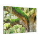 Vibrant Oak Harmony - Canvas