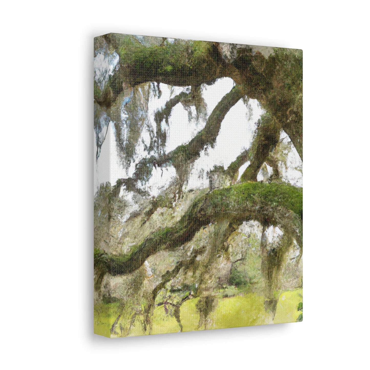 Live Oak Dreaming. - Canvas