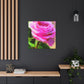 Rose Reflection Dream. - Canvas