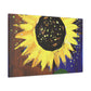 Sunflower Gloaming Dream. - Canvas