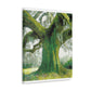 Magnificent Oak Mélange - Canvas