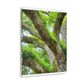 Vibrant Forest Dream. - Canvas
