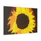 Divine Sun Petal. - Canvas