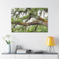 Faded Grandeur Oak. - Canvas