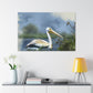 Majestic Water Pelican - Canvas