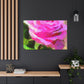 Rose Reflection Dream. - Canvas