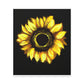 Sunflower Sparkle Glow. - Canvas