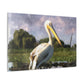 Marshy Pelican Dream - Canvas