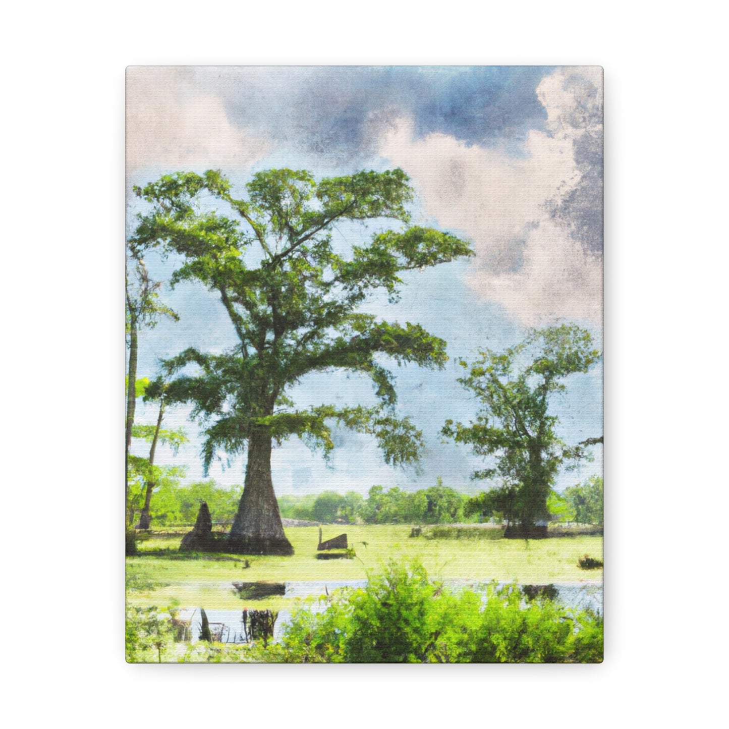 Lagniappe Louisiana Landscape - Canvas