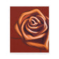 Rose Petal Bliss - Canvas