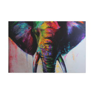Colorful Elegance - Canvas