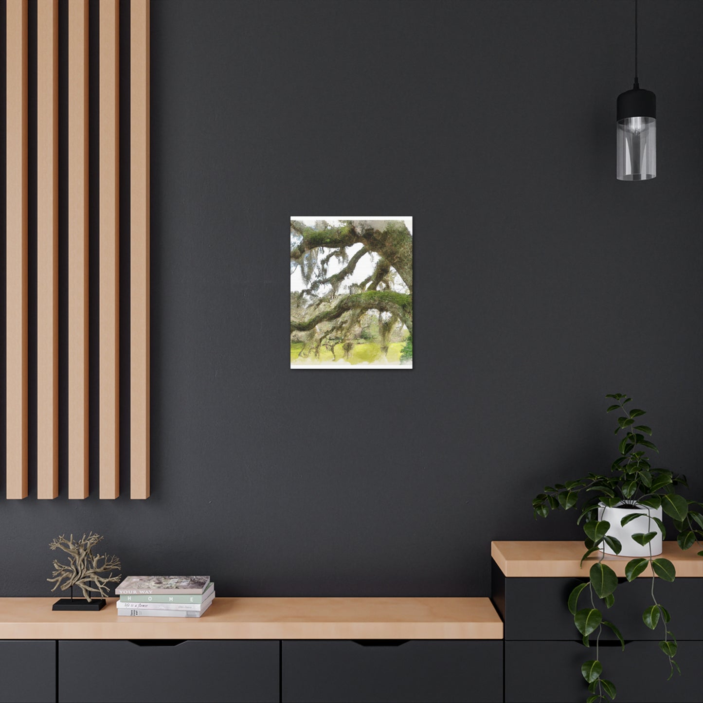 Live Oak Dreaming. - Canvas