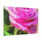 Rose Reflection Dream. - Canvas