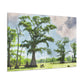 Lagniappe Louisiana Landscape - Canvas