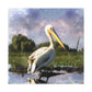 Marshy Pelican Dream - Canvas
