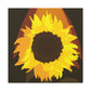 Divine Sun Petal. - Canvas