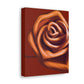 Rose Petal Bliss - Canvas